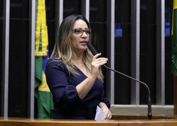 Seminário proposto por Rejane Dias vai debater projeto de Bolsonaro que ataca cotas